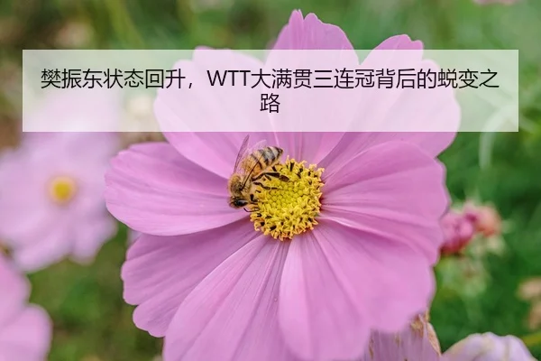 fan-zhen-dong-zhuang-tai-hui-sheng-da-man-guan-san-lian-guan-bei-hou-de-tui-bian-zhi-lu-2-777.jpg