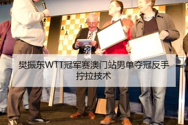 樊振东WTT冠军赛澳门站男单夺冠反手拧拉技术